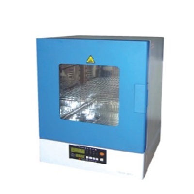 經濟型立式高溫試驗機